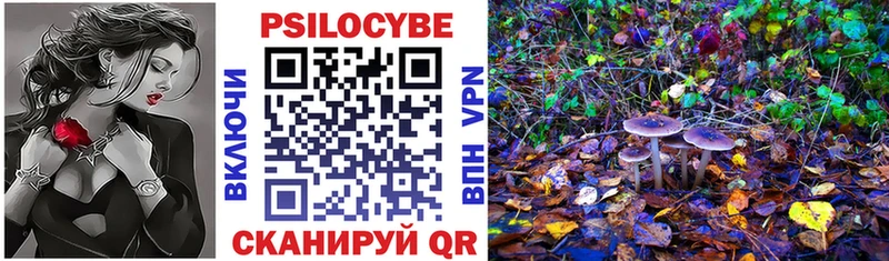 гидра вход  Вятские Поляны  Псилоцибиновые грибы Magic Shrooms  наркошоп 